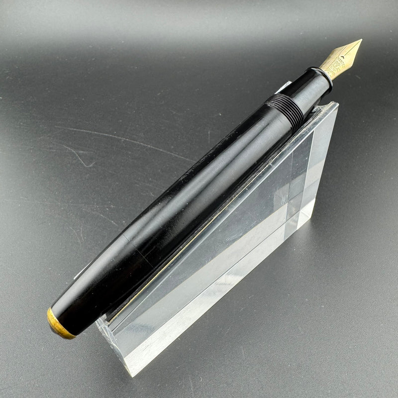 Willow Ebonite Eyedropper Fountain Pen 14K Gold G.K. 