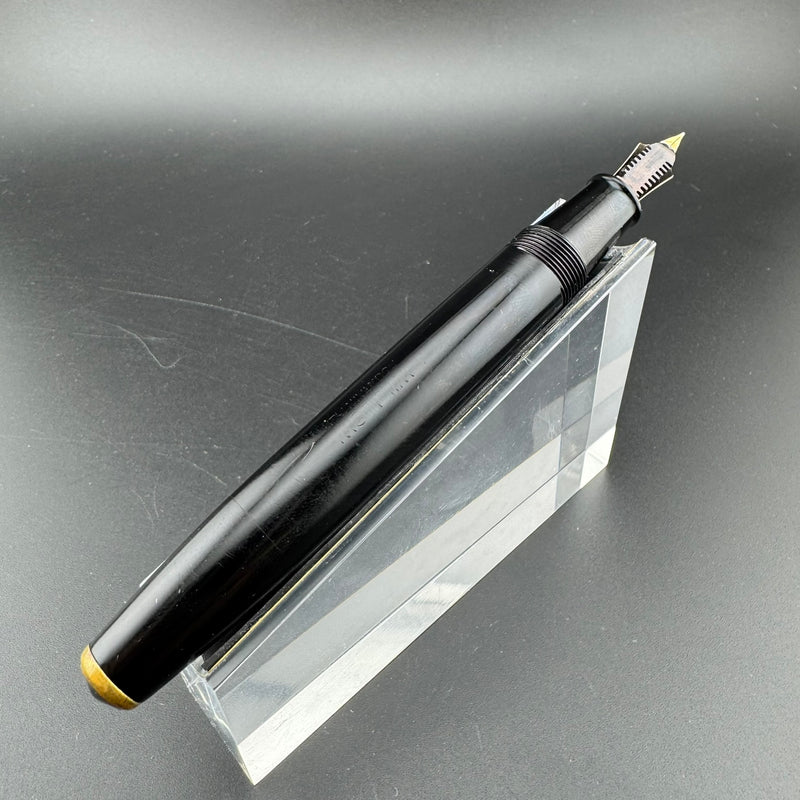 Willow Ebonite Eyedropper Fountain Pen 14K Gold G.K. 