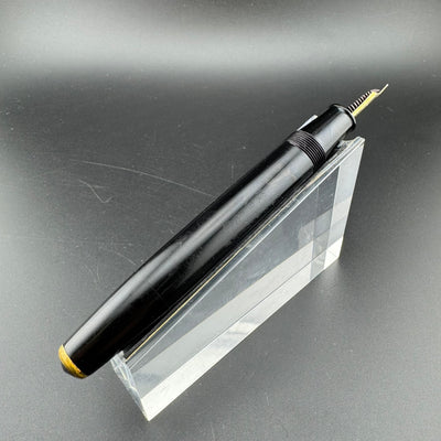 Willow Ebonite Eyedropper Fountain Pen 14K Gold G.K. #40 Extra-Fine Nib Serviced