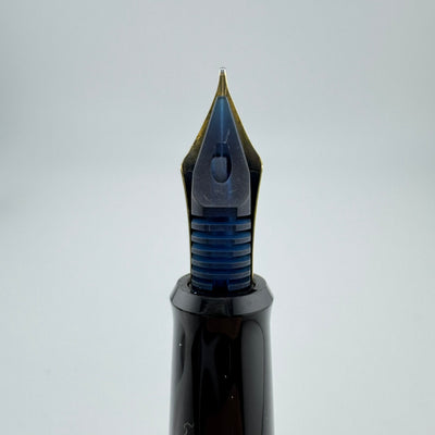 Pilot Emperor's Enthronement Commemoration Maki-e Fountain Pen Phoenix Limited 18K Gold Medium nib with box and Ink well