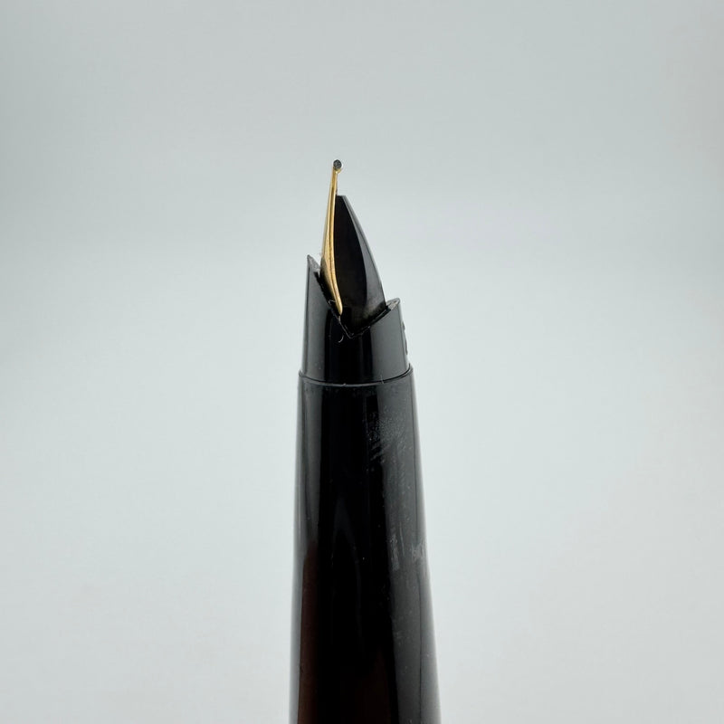 Parker 45 Flighter Deluxe Black Tassie Fountain Pen 14K Gold Extra-Fine Nib