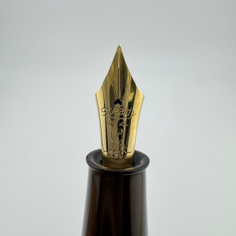 Steady Raden Ebonite Eyedropper Fountain Pen G.K. 