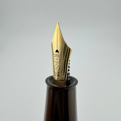 Steady Raden Ebonite Eyedropper Fountain Pen G.K. #3 Extra-Fine Nib Serviced