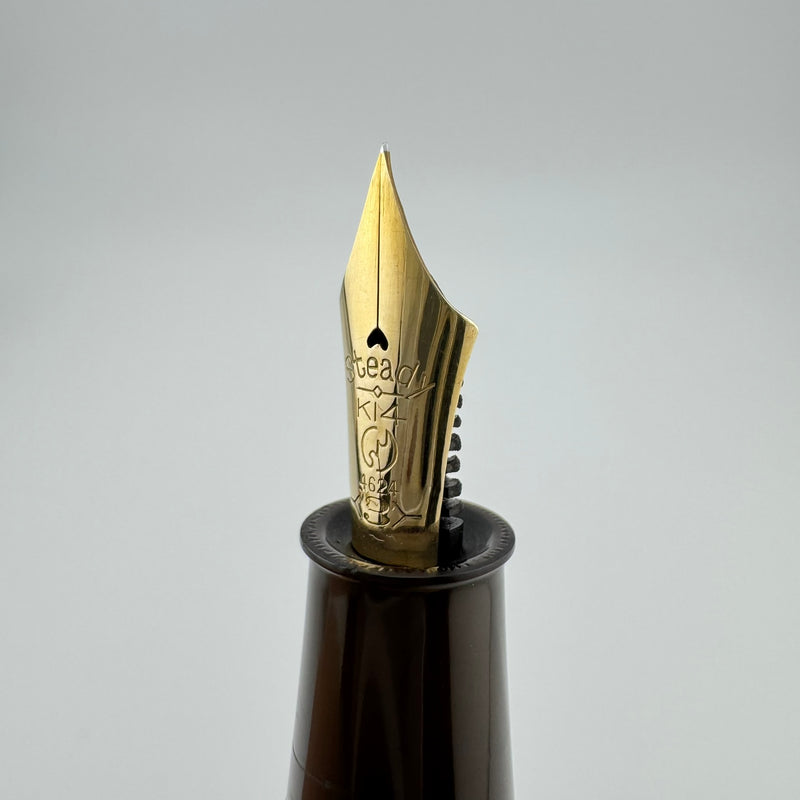 Steady Raden Ebonite Eyedropper Fountain Pen G.K. 