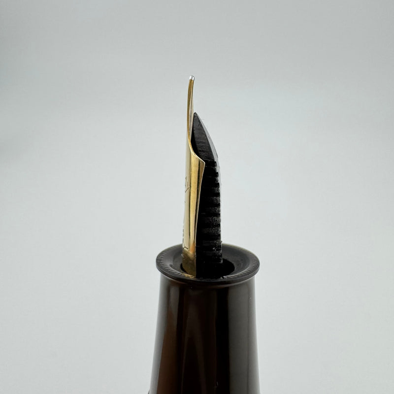 Steady Raden Ebonite Eyedropper Fountain Pen G.K. 