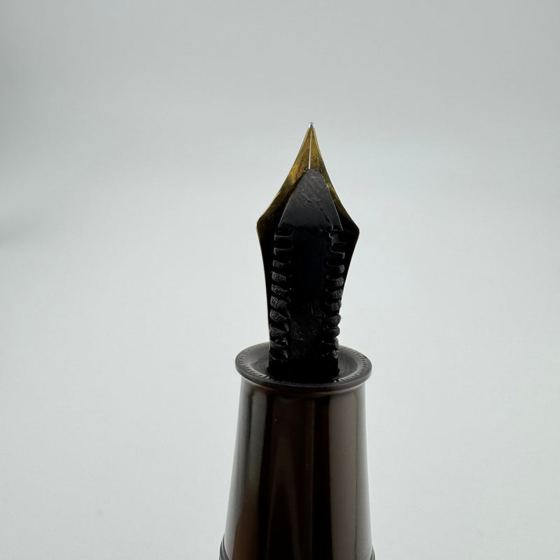 Steady Raden Ebonite Eyedropper Fountain Pen G.K. 