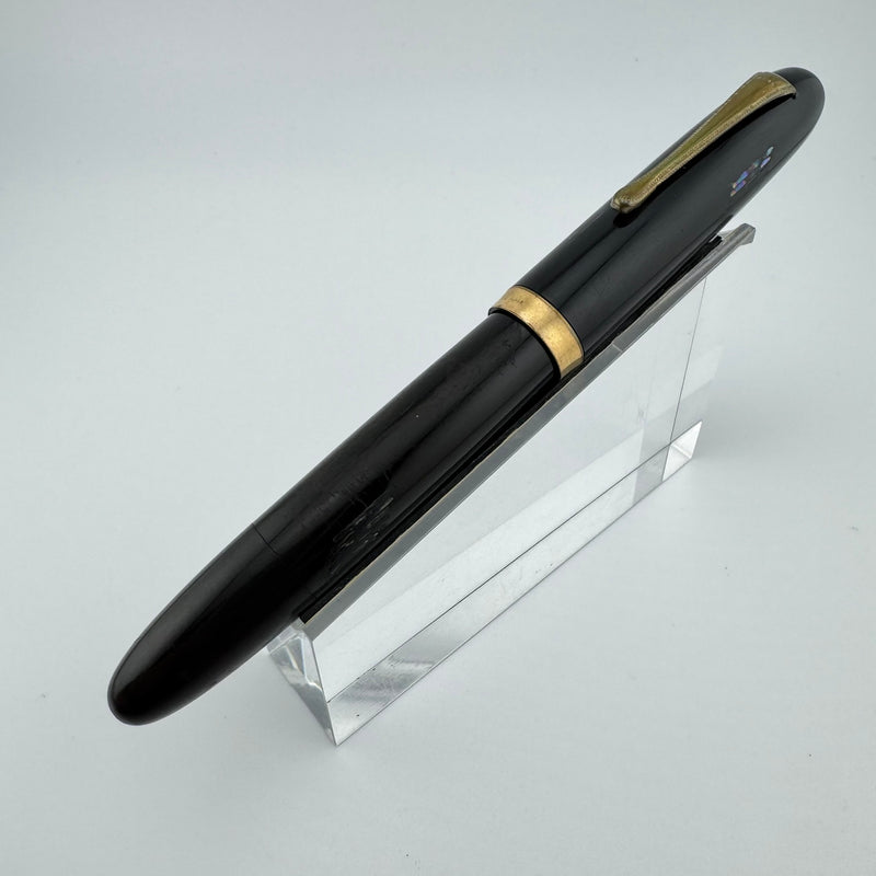 Steady Raden Ebonite Eyedropper Fountain Pen G.K. 