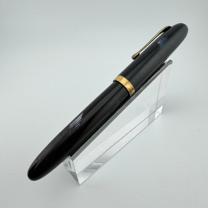 Steady Raden Ebonite Eyedropper Fountain Pen G.K. 