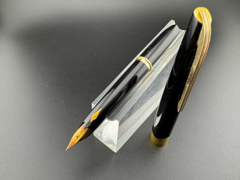 Platinum Black Resin Pocket Fountain Pen 18K Gold EF Nib