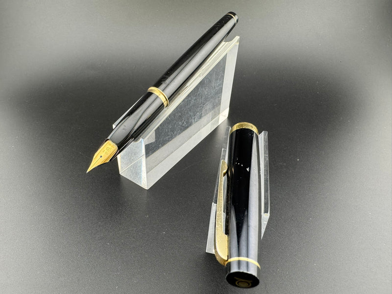 Platinum Black Resin Fountain Pen 18K Gold EF Nib