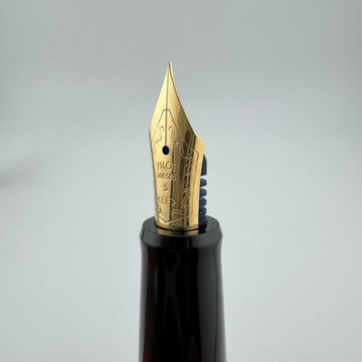 Pilot Custom 67 Black Resin Fountain Pen 14K Gold Extra-Fine Nib