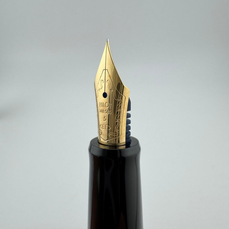 Pilot Custom 67 Black Resin Fountain Pen 14K Gold Extra-Fine Nib