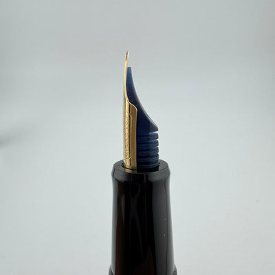Pilot Custom 67 Black Resin Fountain Pen 14K Gold Extra-Fine Nib