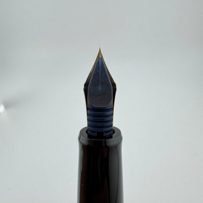 Pilot Custom 67 Black Resin Fountain Pen 14K Gold Extra-Fine Nib