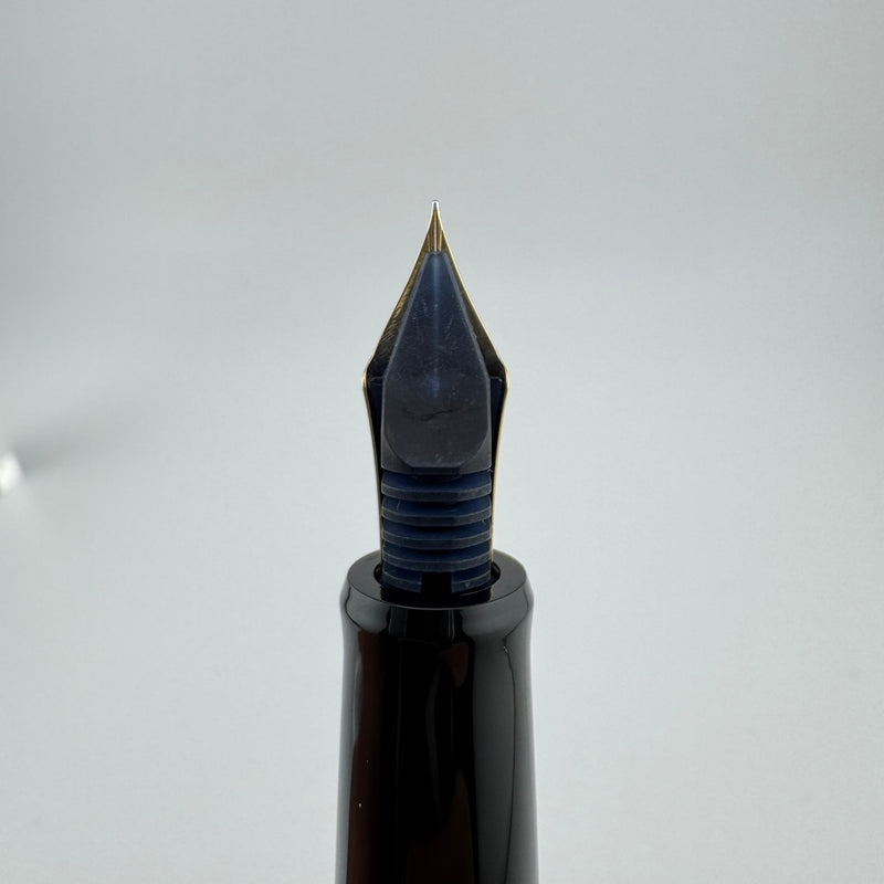 Pilot Custom 67 Black Resin Fountain Pen 14K Gold Extra-Fine Nib