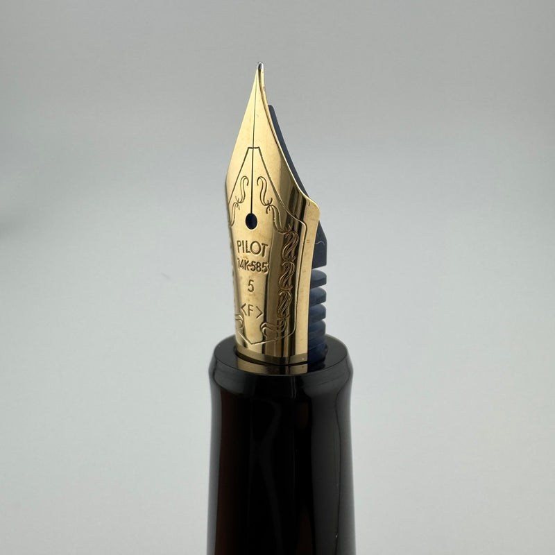 Pilot Custom 67 Black Resin Fountain Pen 14K Gold Fine Nib