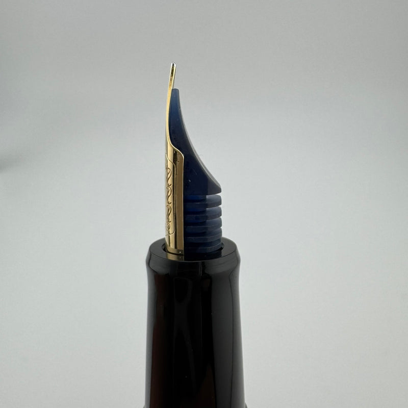 Pilot Custom 67 Black Resin Fountain Pen 14K Gold Fine Nib