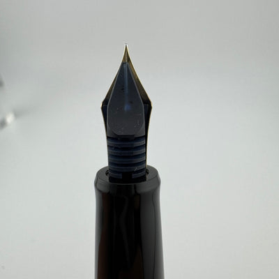 Pilot Custom 67 Black Resin Fountain Pen 14K Gold Fine Nib