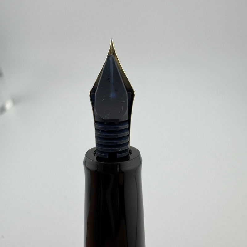 Pilot Custom 67 Black Resin Fountain Pen 14K Gold Fine Nib