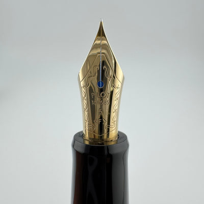 Pilot Custom 67 Black Resin Fountain Pen 14K Gold Fine Nib