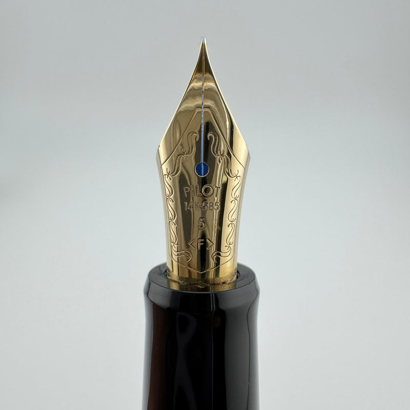 Pilot Custom 67 Black Resin Fountain Pen 14K Gold Fine Nib