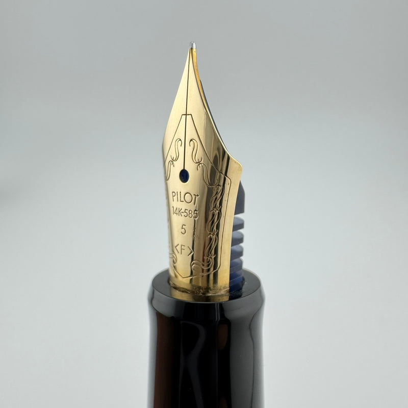 Pilot Custom 67 Black Resin Fountain Pen 14K Gold Fine Nib