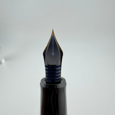 Pilot Custom 67 Black Resin Fountain Pen 14K Gold Fine Nib