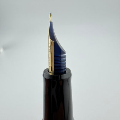 Pilot Custom 67 Black Resin Fountain Pen 14K Gold Medium Nib