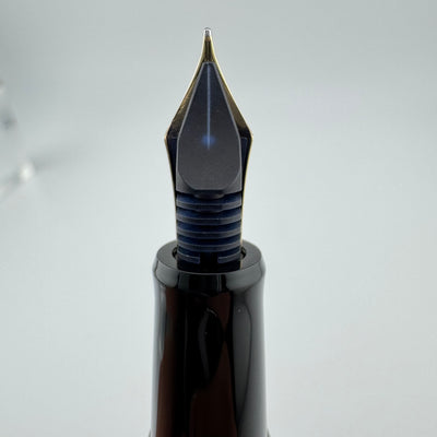 Pilot Custom 67 Black Resin Fountain Pen 14K Gold Medium Nib