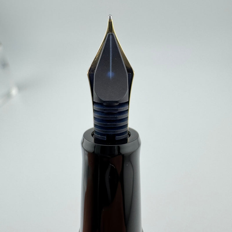 Pilot Custom 67 Black Resin Fountain Pen 14K Gold Medium Nib