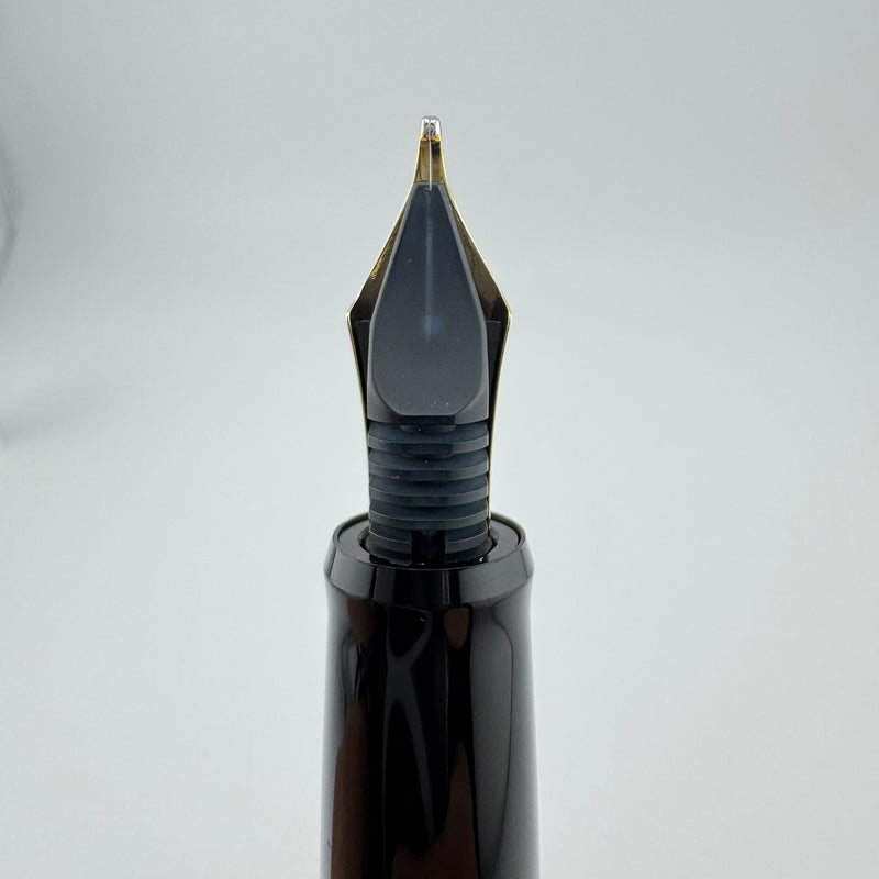 Pilot Custom 67 Black Resin Fountain Pen 14K Gold Broad Nib