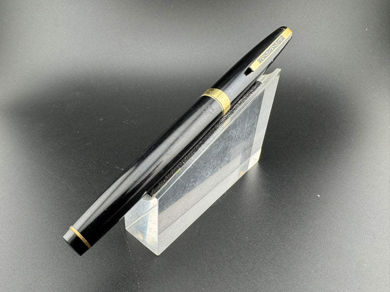 Platinum Black Resin Fountain Pen 18K Gold Medium Nib