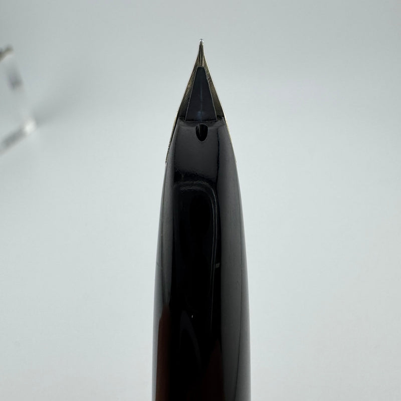 Pilot Custom Engraved Silver Kyomon Heart Sutra Fountain Pen 18K WG Fine Nib