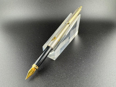 Elysee World Stainless Steel W/24K Gold Plate Body & Cap Fine Steel Nib  Fountain Pen