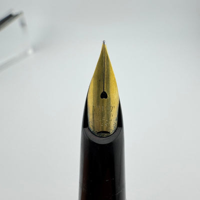 Pilot Super 200 Maki-e Dragonfly Wing Fountain Pen 14K Gold Fine Nib Unrestored