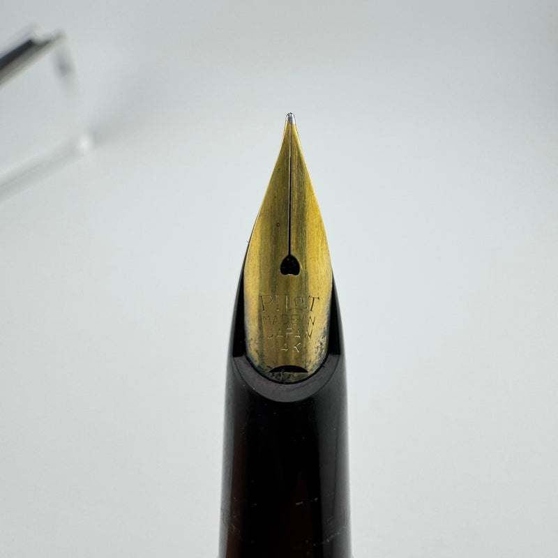 Pilot Super 200 Maki-e Dragonfly Wing Fountain Pen 14K Gold Fine Nib Unrestored