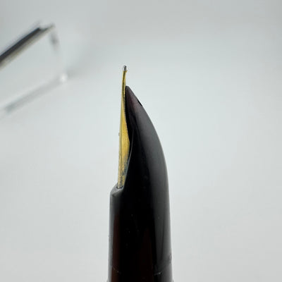 Pilot Super 200 Maki-e Dragonfly Wing Fountain Pen 14K Gold Fine Nib Unrestored