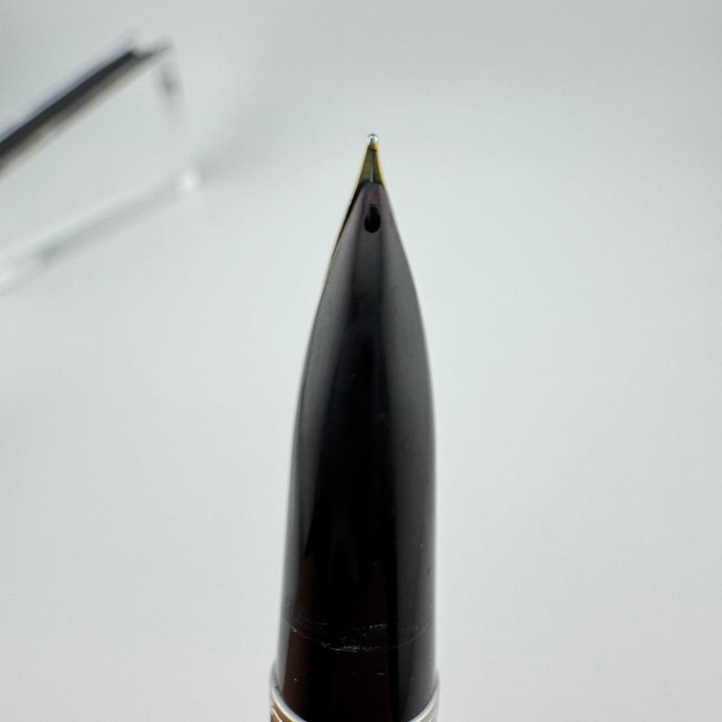 Pilot Super 200 Maki-e Dragonfly Wing Fountain Pen 14K Gold Fine Nib Unrestored