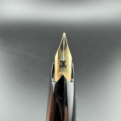 Platinum Pocket Fountain Pen 14K Gold Fine Nib NOS w/Box