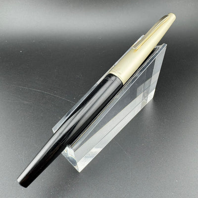 Platinum Resin Fountain Pen Stainless Steel Extra-Fine Nib