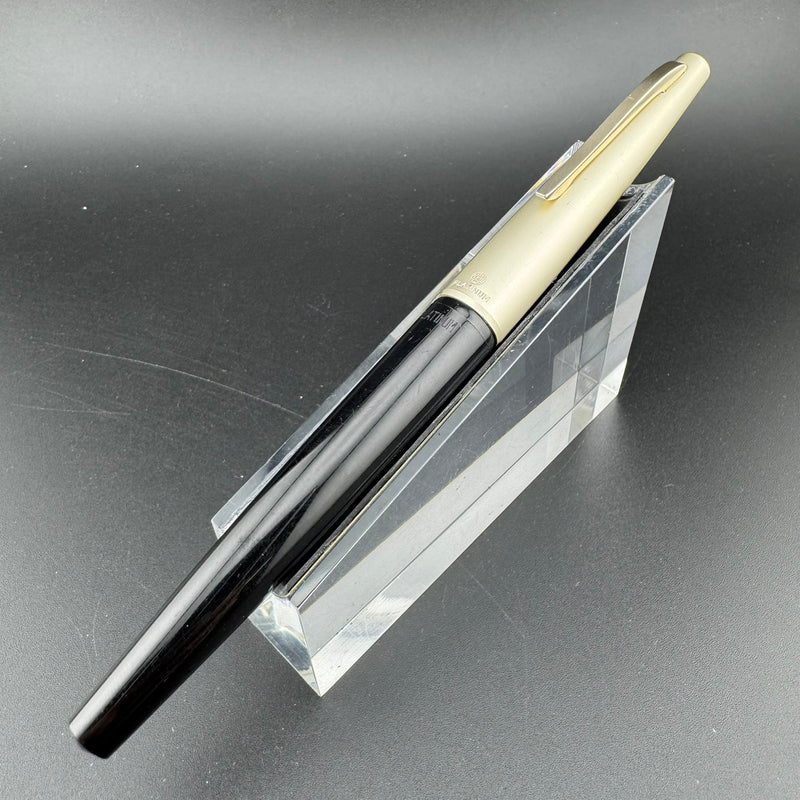 Platinum Resin Fountain Pen Stainless Steel Extra-Fine Nib