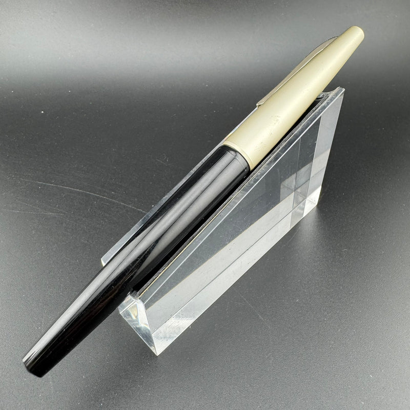 Platinum Resin Fountain Pen Stainless Steel Extra-Fine Nib