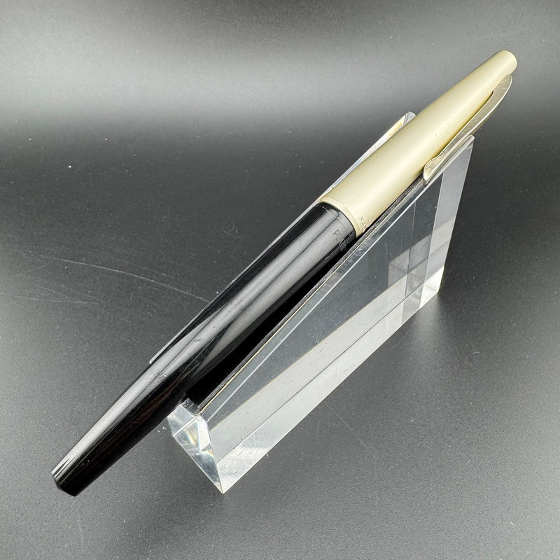 Platinum Resin Fountain Pen Stainless Steel Extra-Fine Nib