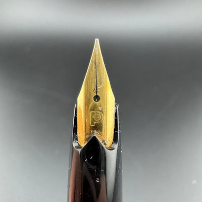 Platinum Pocket Fountain Pen Gold Plated Steel Extra-Fine Nib