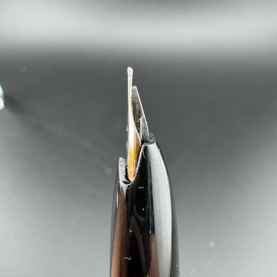 Platinum Silver & Black Pocket Fountain Pen GP Steel Extra-Fine Nib