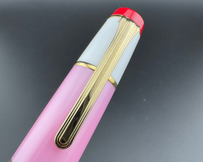 Sailor Pro Gear Millecolore Pink Fountain Pen 21K Gold H-MF Nib w/ Box