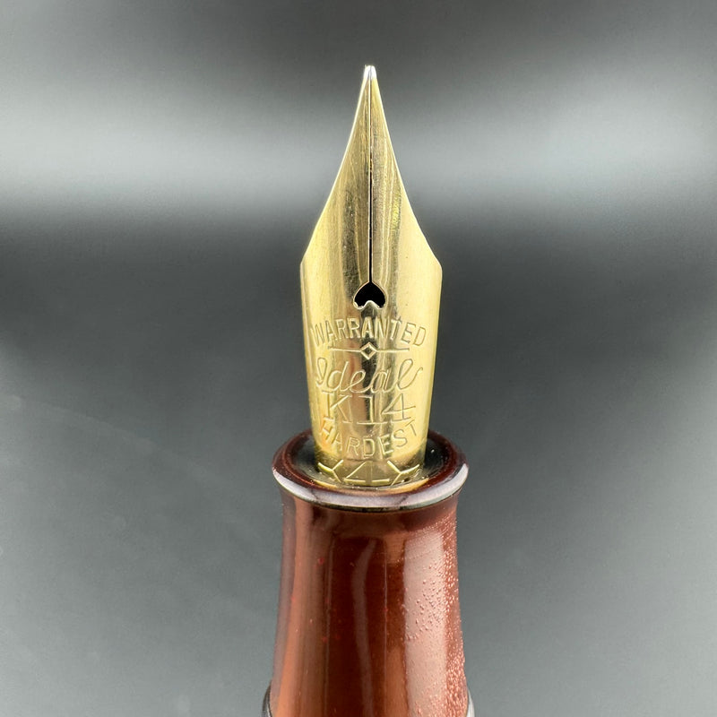 Ideal Ebonite Eyedropper Ancient Coins Fountain Pen 14K Gold Extra-Fine Nib