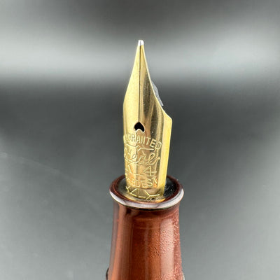 Ideal Ebonite Eyedropper Ancient Coins Fountain Pen 14K Gold Extra-Fine Nib