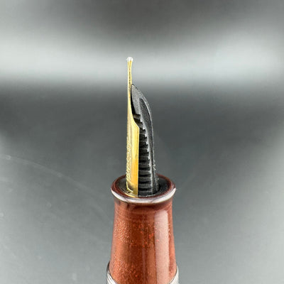 Ideal Ebonite Eyedropper Ancient Coins Fountain Pen 14K Gold Extra-Fine Nib