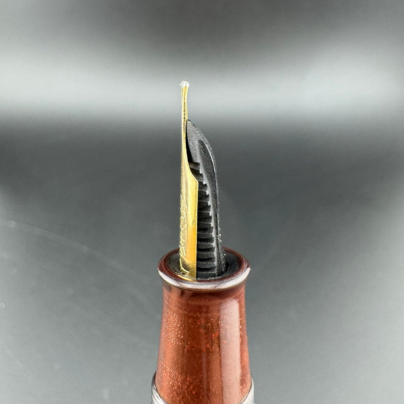 Ideal Ebonite Eyedropper Ancient Coins Fountain Pen 14K Gold Extra-Fine Nib